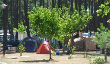 Camping Les Oyats