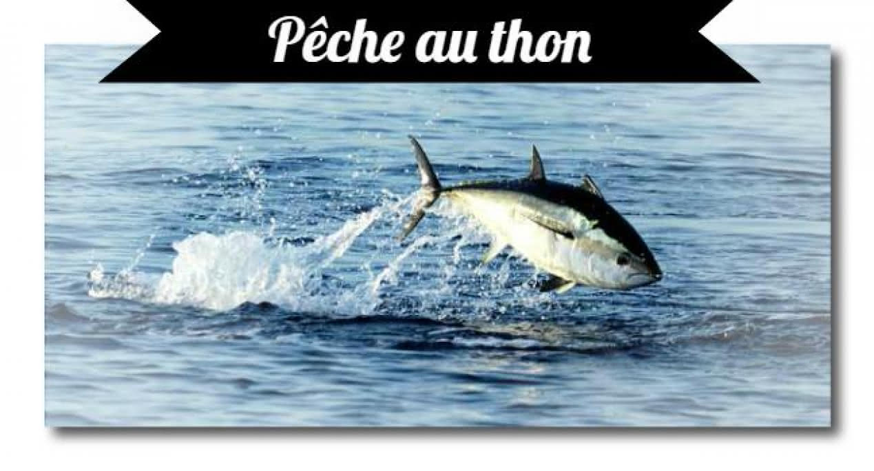 Pêche Arcachon2