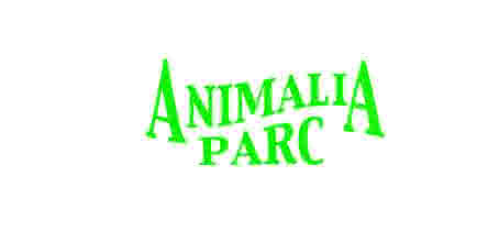 Animalia Parc - Accrobranche
