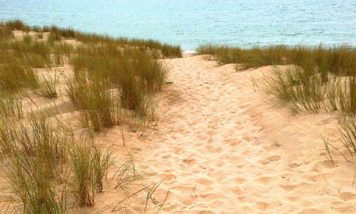 sentier dunaire Lacanau